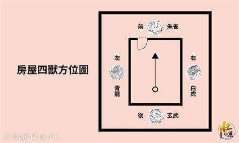 瓦斯爐在虎邊|如何判別風水上常聽到的龍虎邊呢？現在就一次弄清楚。